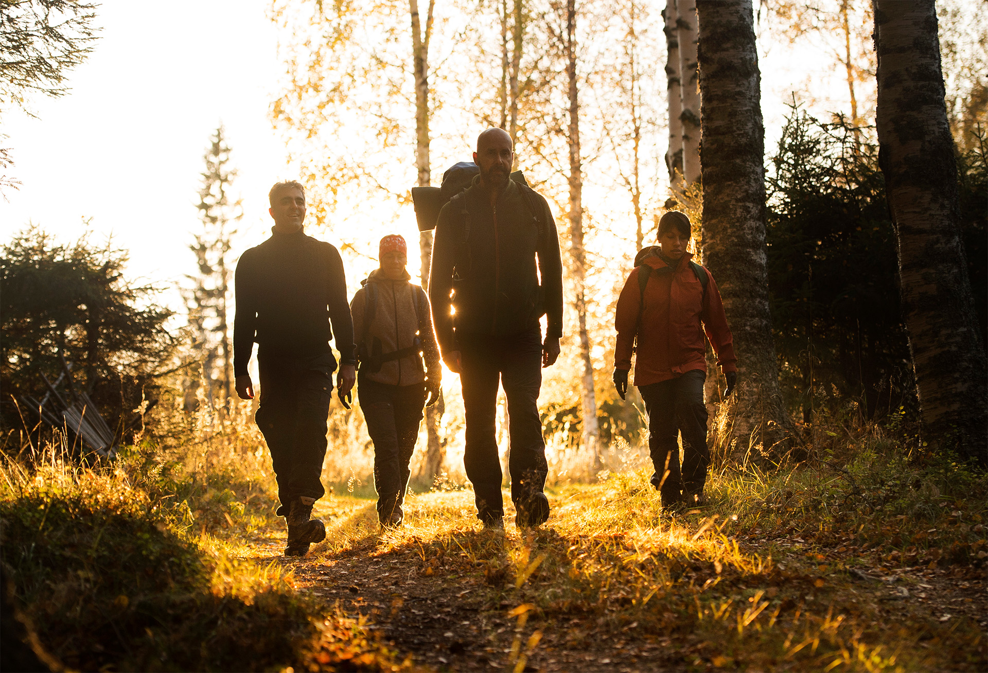 Bild på fyra personer som går på en stig i skogen